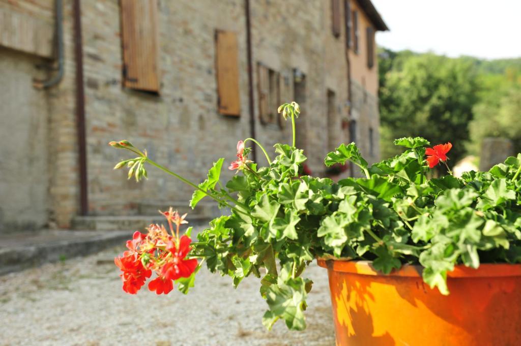 Agriturismo La Caputa Урбания Екстериор снимка